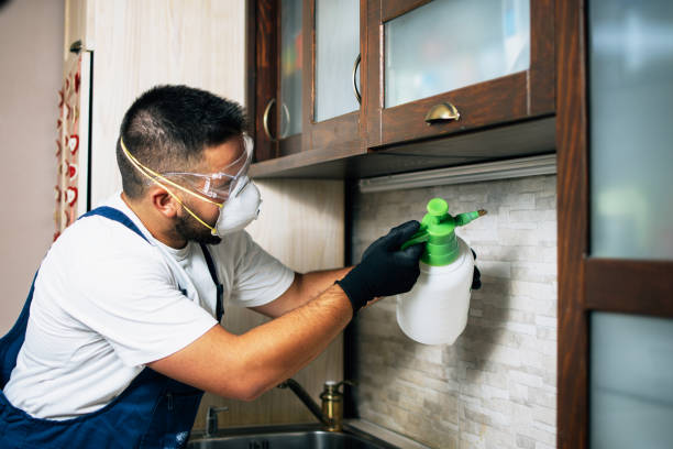 Best Emergency Pest Control  in Hattiesburg, MS